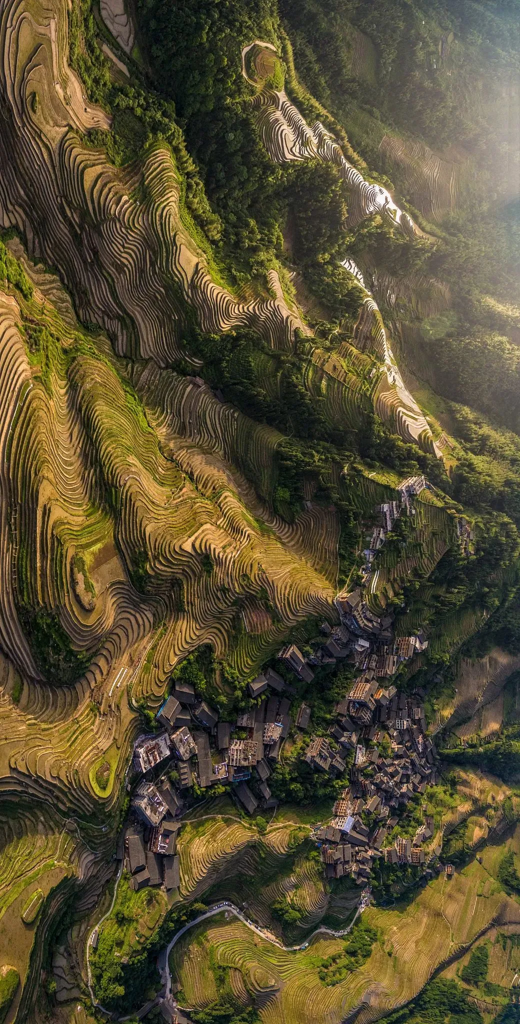 龙脊梯田
