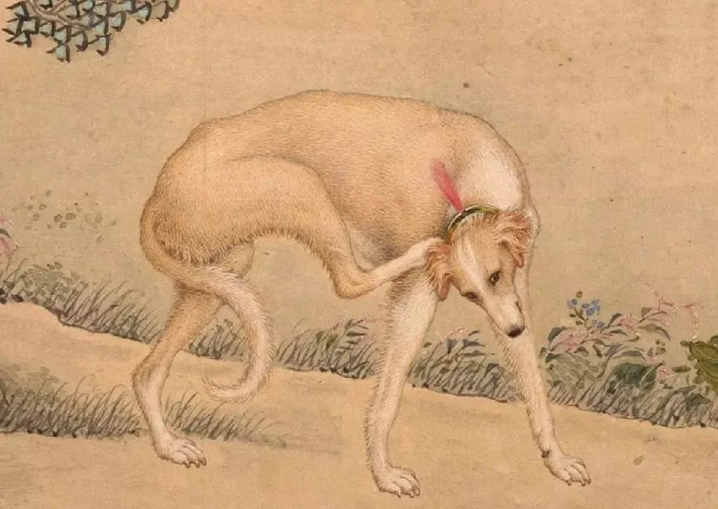 乾隆十大爱犬，光听名字就霸气！故宫居然把它们都“复活”了_凤凰网