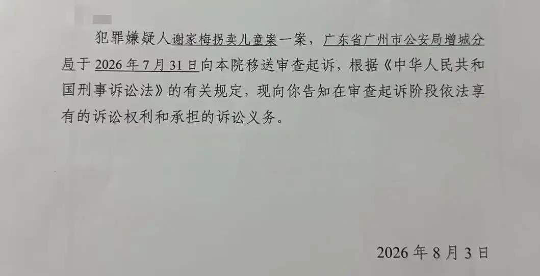 梅姨其实是“媒姨”，她以媒人的身份居住在村里