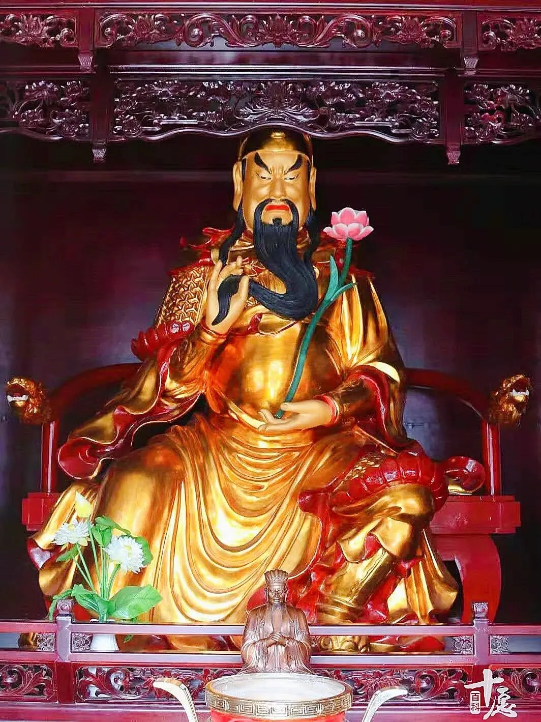 图片