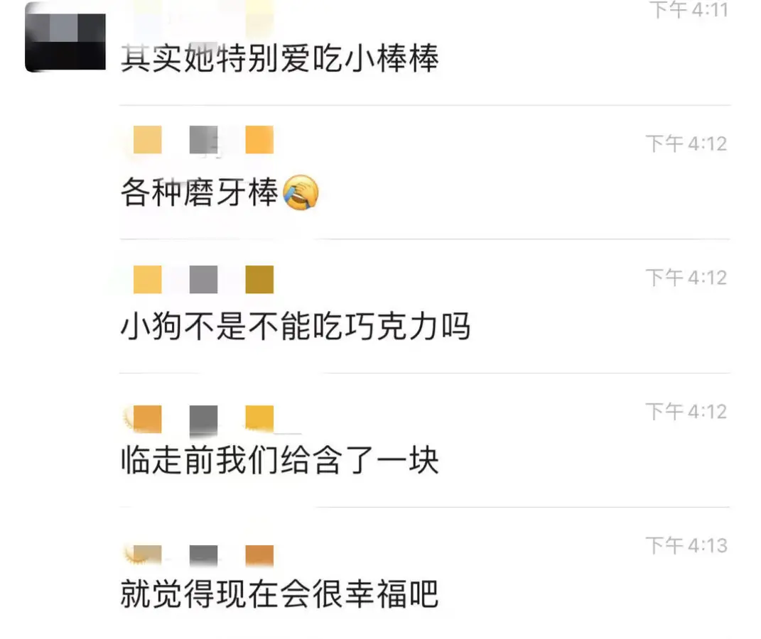 宠物经济新形态：用仿真毛毡、手绘“留住”爱宠，有从业者称订单已排到明年-宠物的毛可以做成什么东西