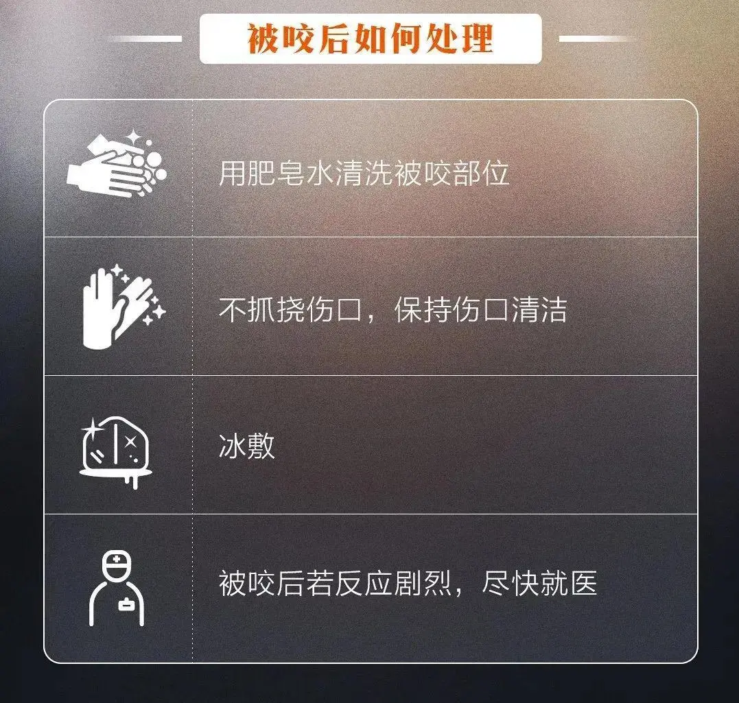 看似不起眼，被咬伤却可致死，已入侵12省份…