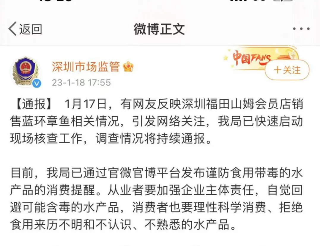 “深圳疑似蓝环章鱼”事件供应商：所在海域无蓝环章鱼，每条章鱼工人要过手四五遍（蓝环章鱼新闻图）