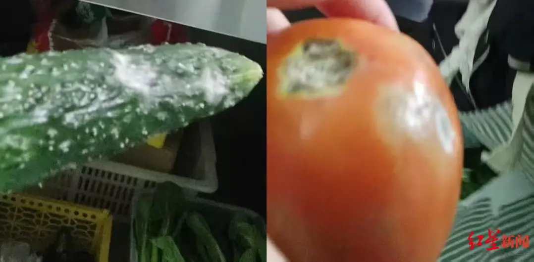 记者卧底轻食外卖连锁后厨：发霉蔬果榨汁，隔夜菜挑出变味的接着卖_https://www.izongheng.net_快讯_第2张