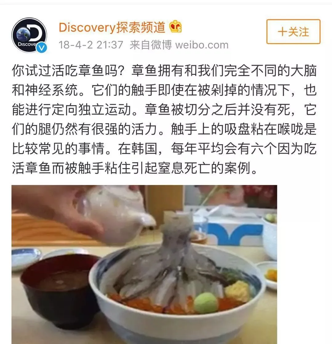 姑娘在直播吃活章鱼，结果章鱼跟她拼了……（女主播吃播活章鱼）