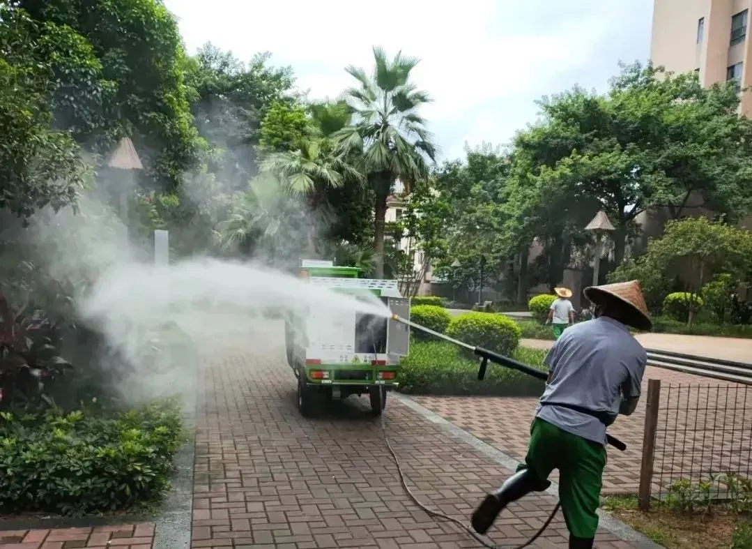 与蚊子缠斗的一个月 一场格外艰难的战斗！
