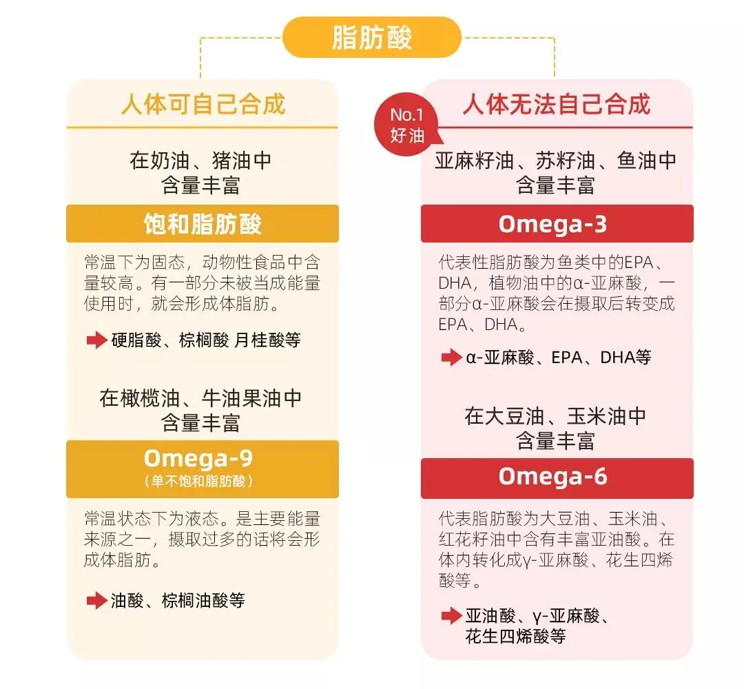 为什么说食用油要换着吃？看完专家说的恍然大悟……_凤凰网