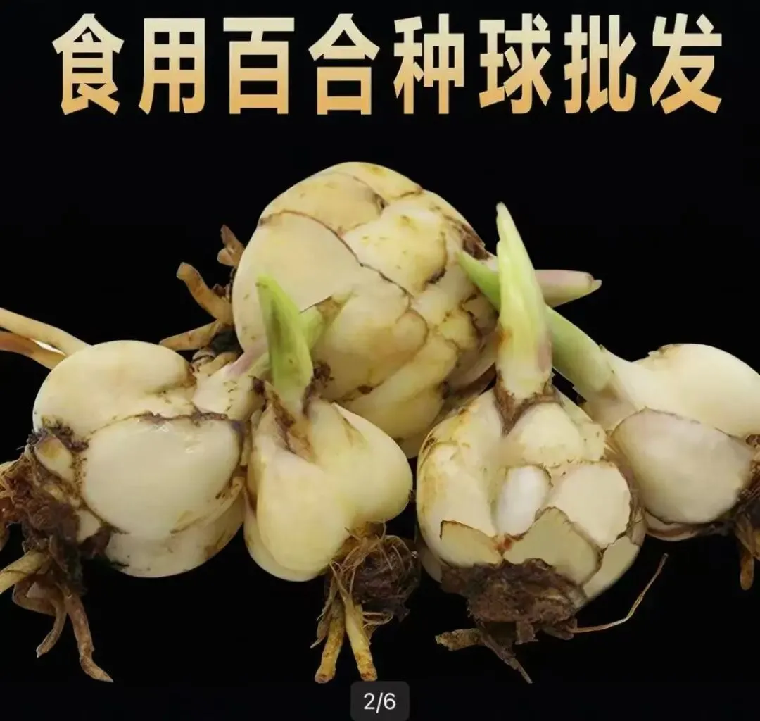 “误将水仙当百合”,盒马被罚198元_企业_第2张_纵横网 “误将水仙当百合”,盒马被罚198元_https://www.izongheng.net_企业_第2张
