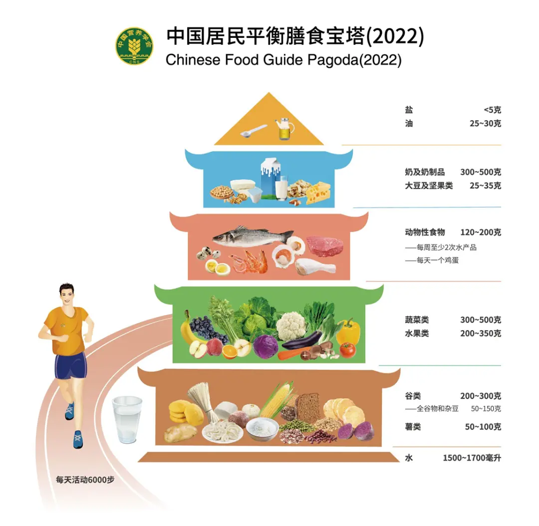 中国营养学会 / 中国居民平衡膳食宝塔