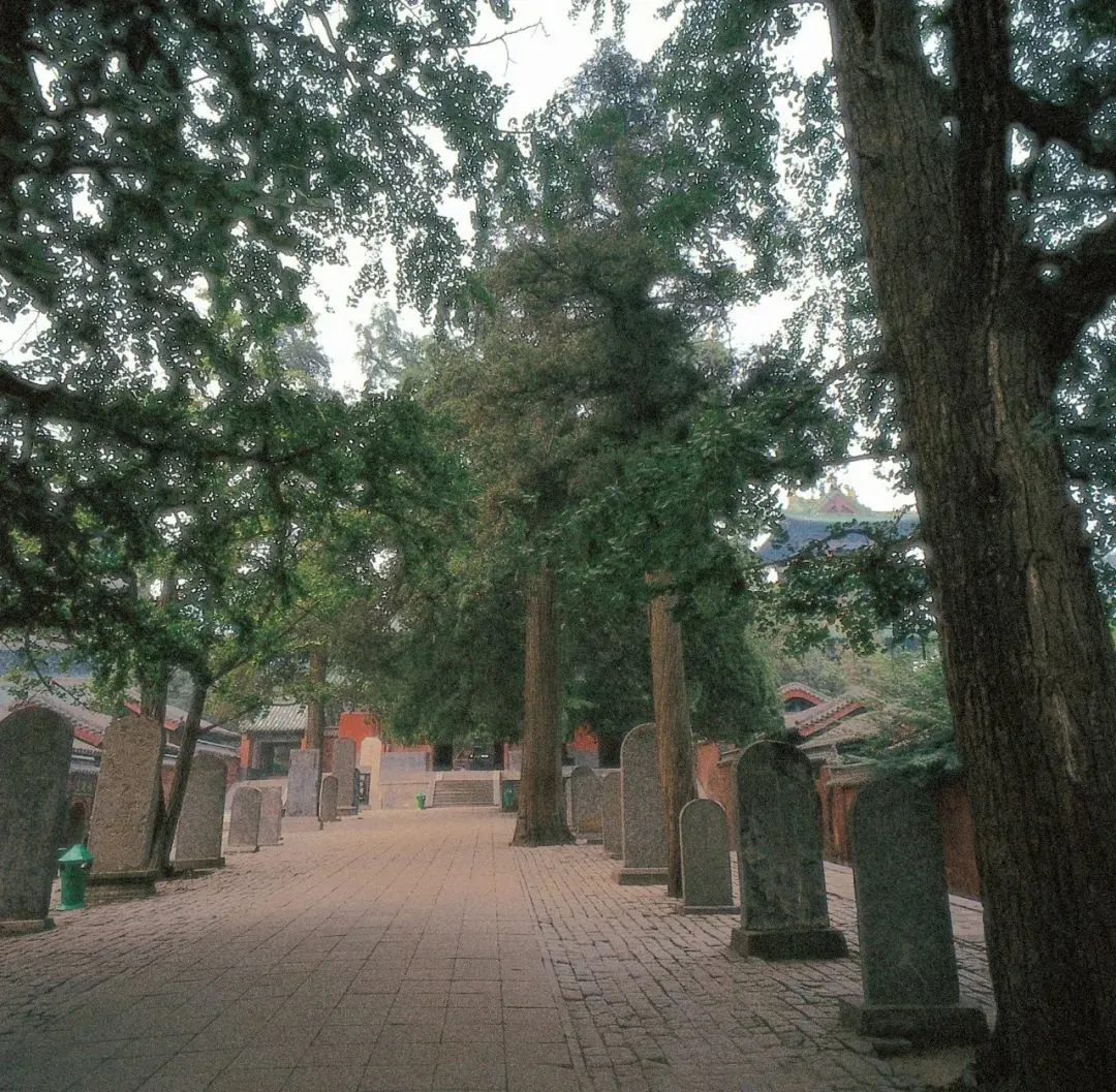禅宗祖庭嵩山少林寺：千年风雨未曾蚀其骨