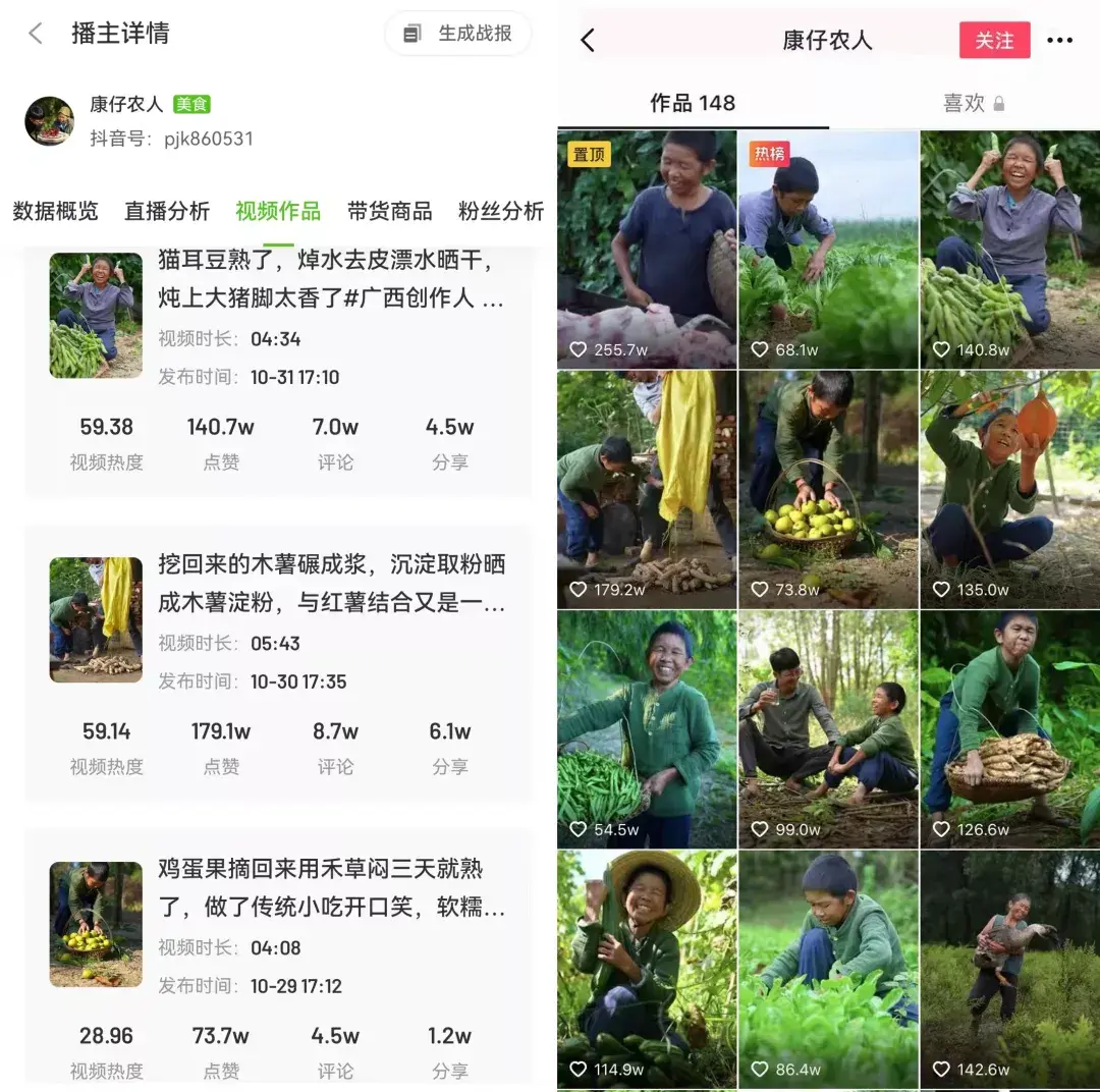 10抖音涨粉案例分析：各路“手艺人”齐上阵黑马账号层出不穷！插图13
