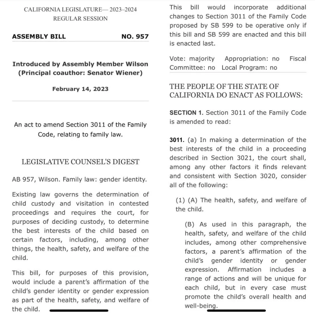 ������AB-957�������ݣ��÷����Զ�ͯ�ĸ���Ϊ���򣬲�δ�ἰ�������������ݡ�ͼ��https://leginfo.legislature.ca.gov/faces/billTextClient.xhtml?bill_id=202320240AB957