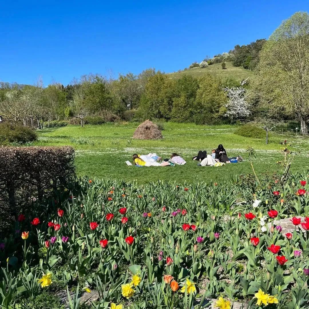 instagram@musee_impressionnismes_giverny