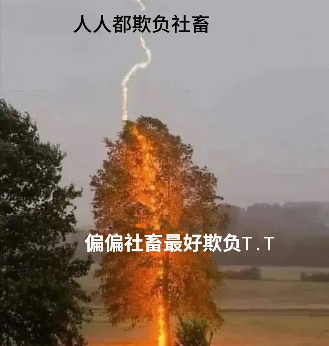 图片来源：表情包改编