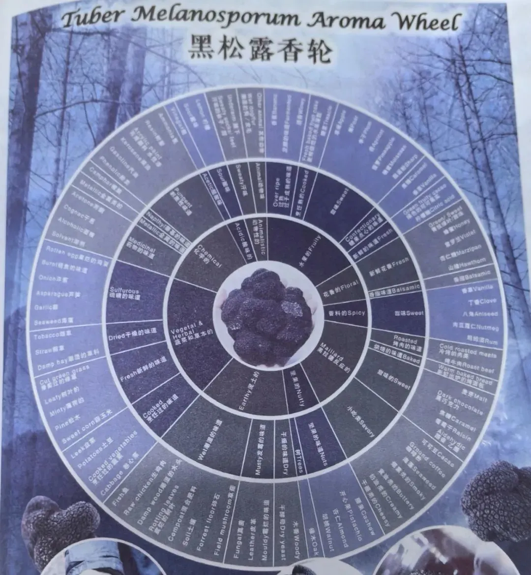 △黑松露香轮。只要有足够的想象力,你可以在黑松露里吃到无数味道。(图/《松露的秘密》)