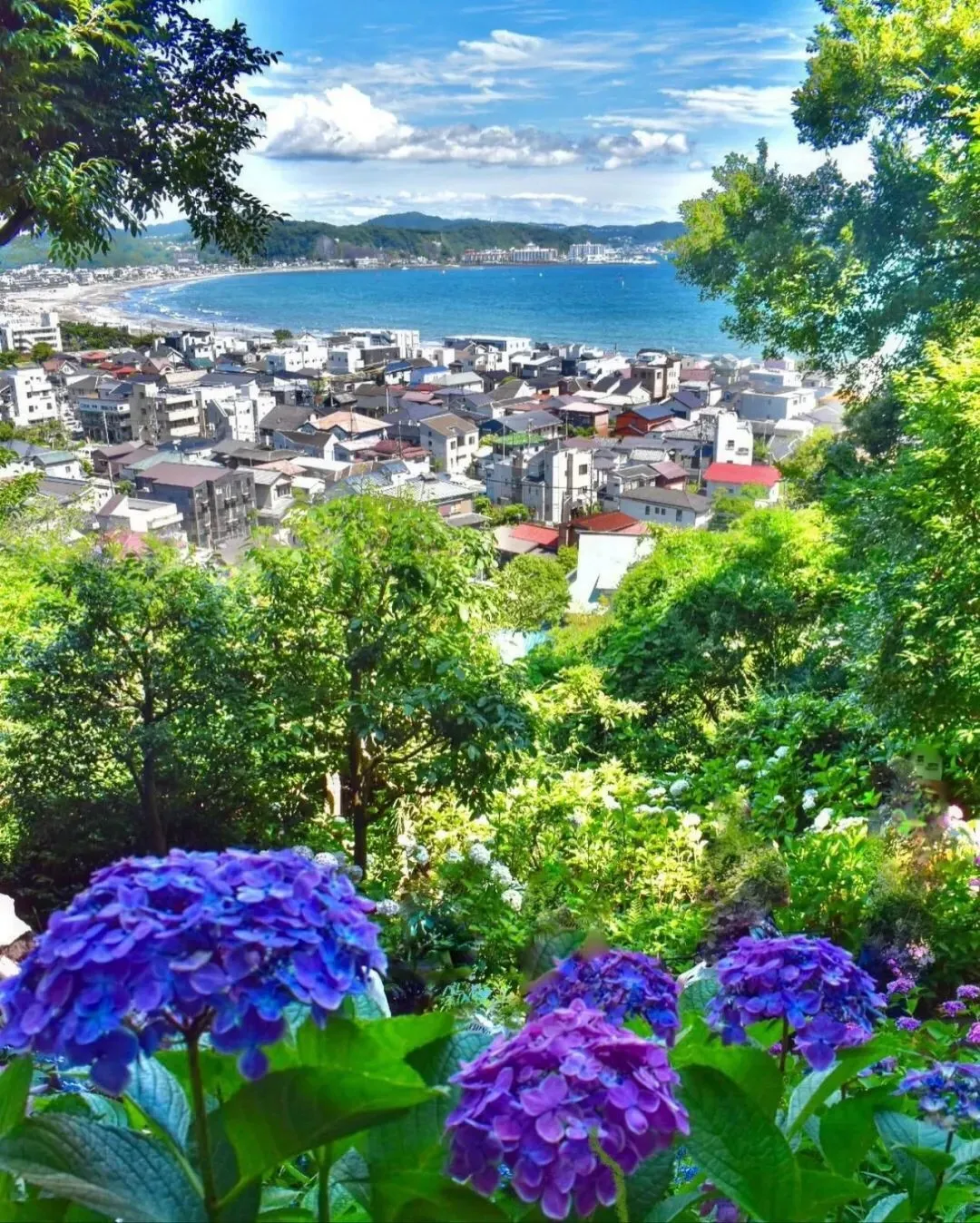 ins@mint_kyoto.kansai_osanpo