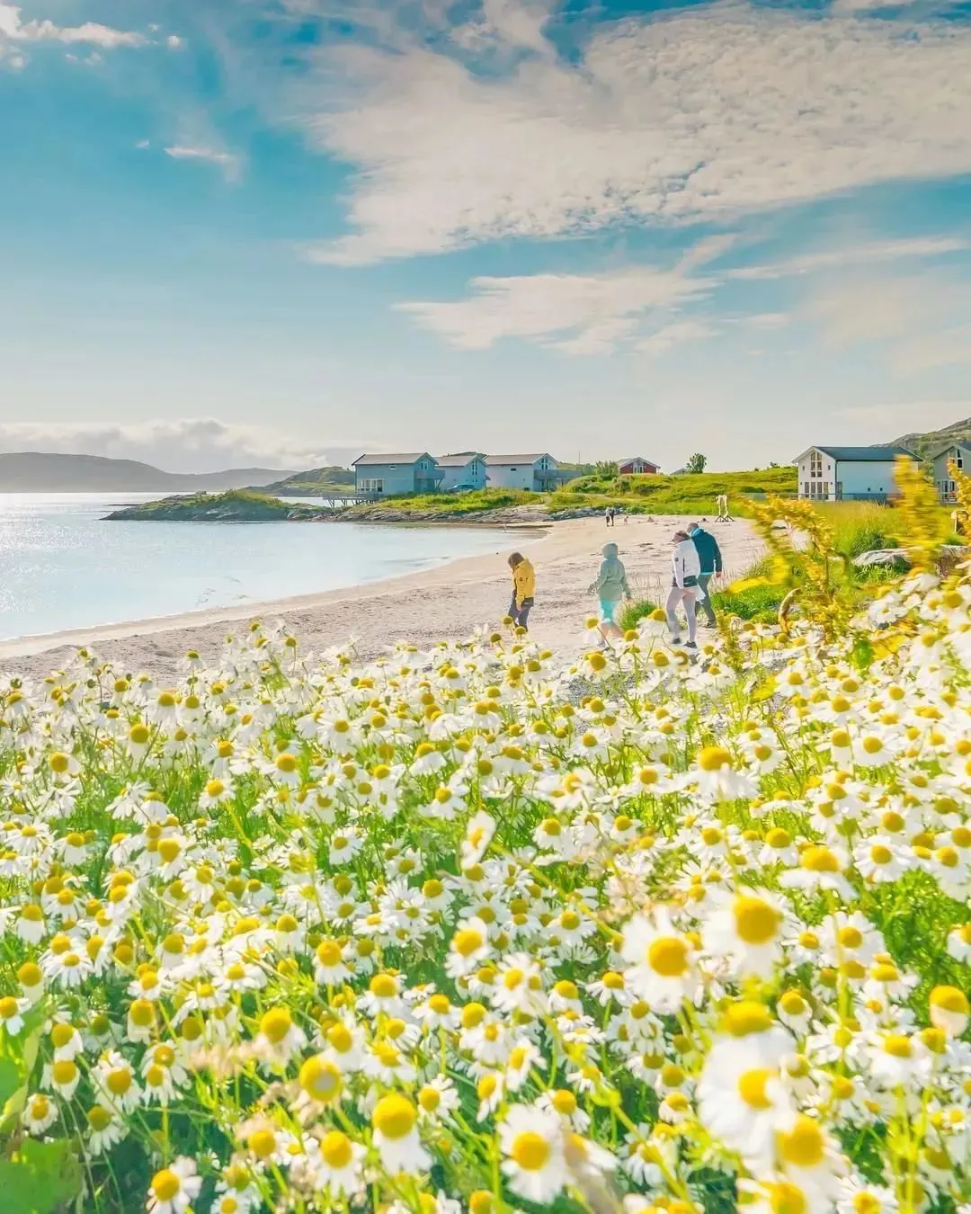 图片[30]-地球上唯一没有时间的地方，世界尽头的日不落童话世界，出门就是极光-华闻时空
