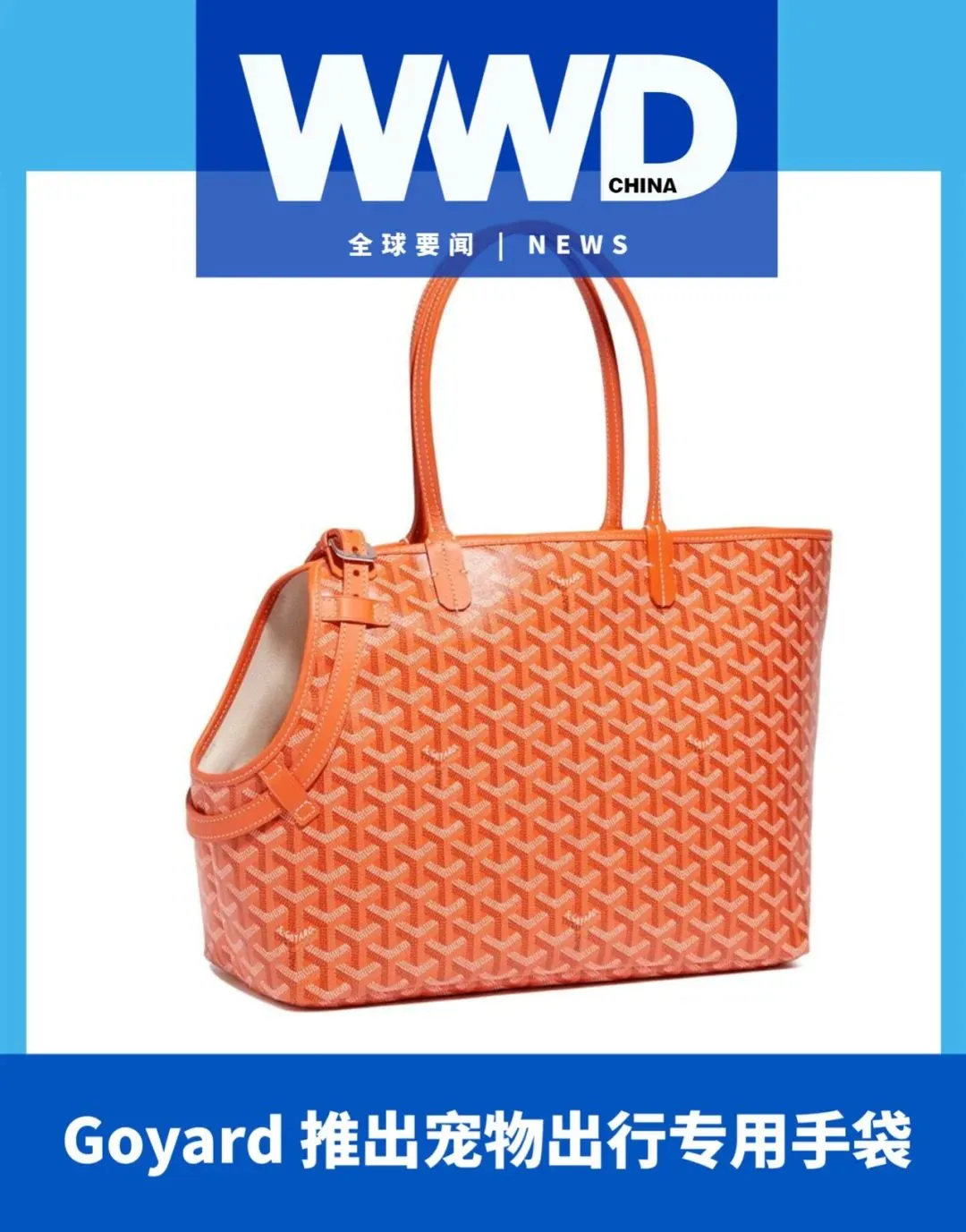 我国跨境电商规模 5 年增长近 10 倍；“衣二三”宣布关停；Goyard 推出宠物出行专用手袋-我国跨境电商交易总额排名