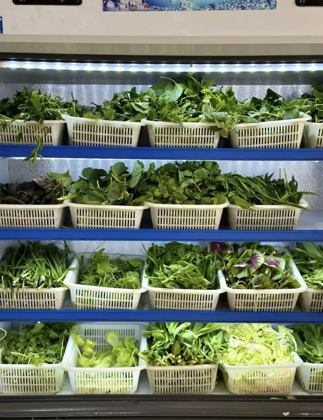 大众点评@karlson的旅行箱