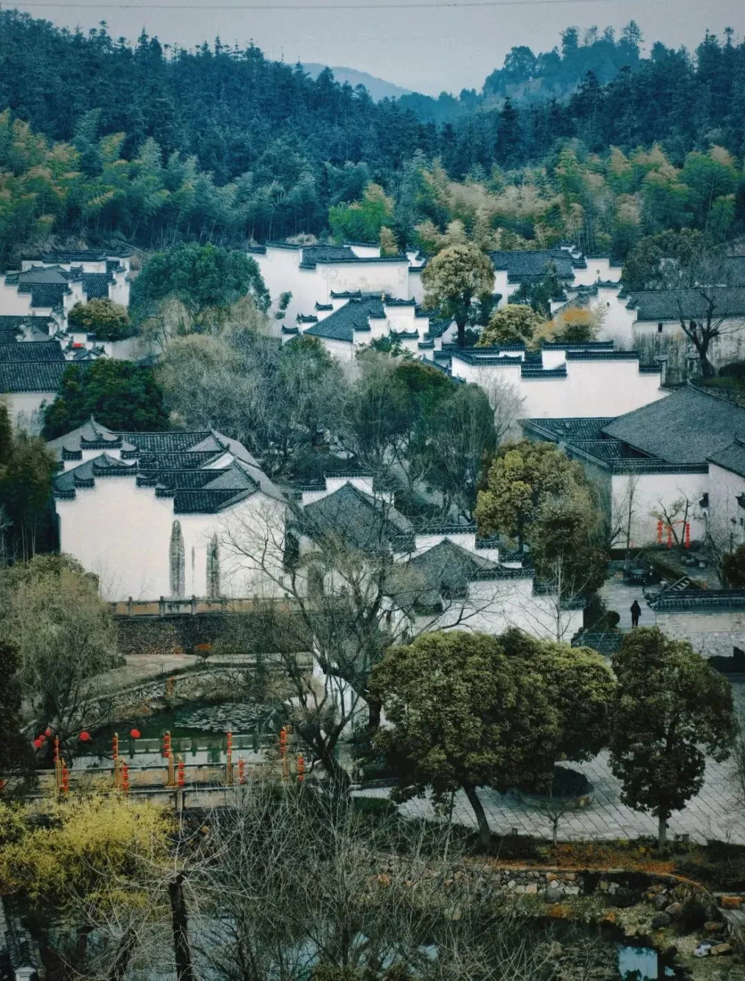 小红书@Mozzzz