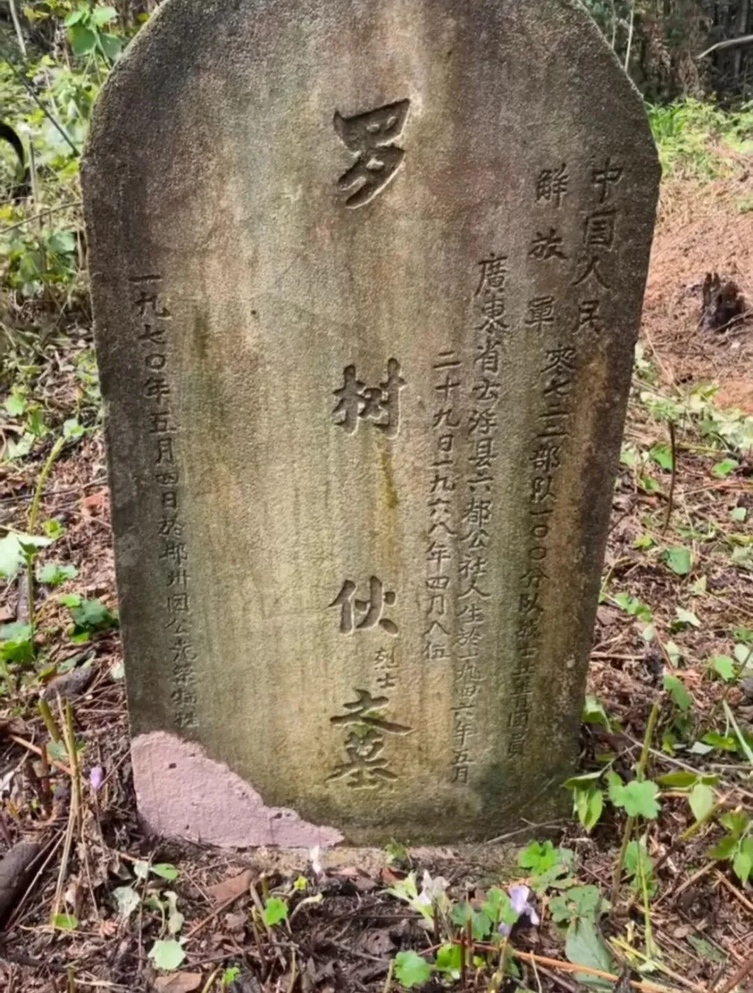 �����ͼ��