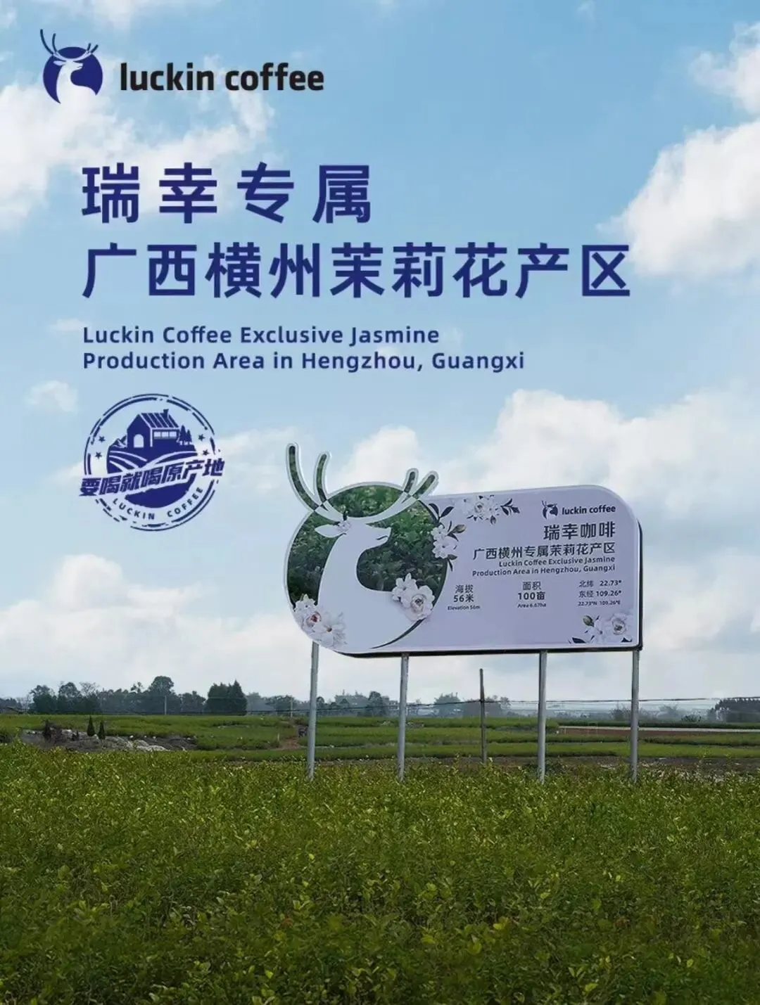 瑞幸咖啡在广西横州设有专属的茉莉花产区/图源：瑞幸咖啡