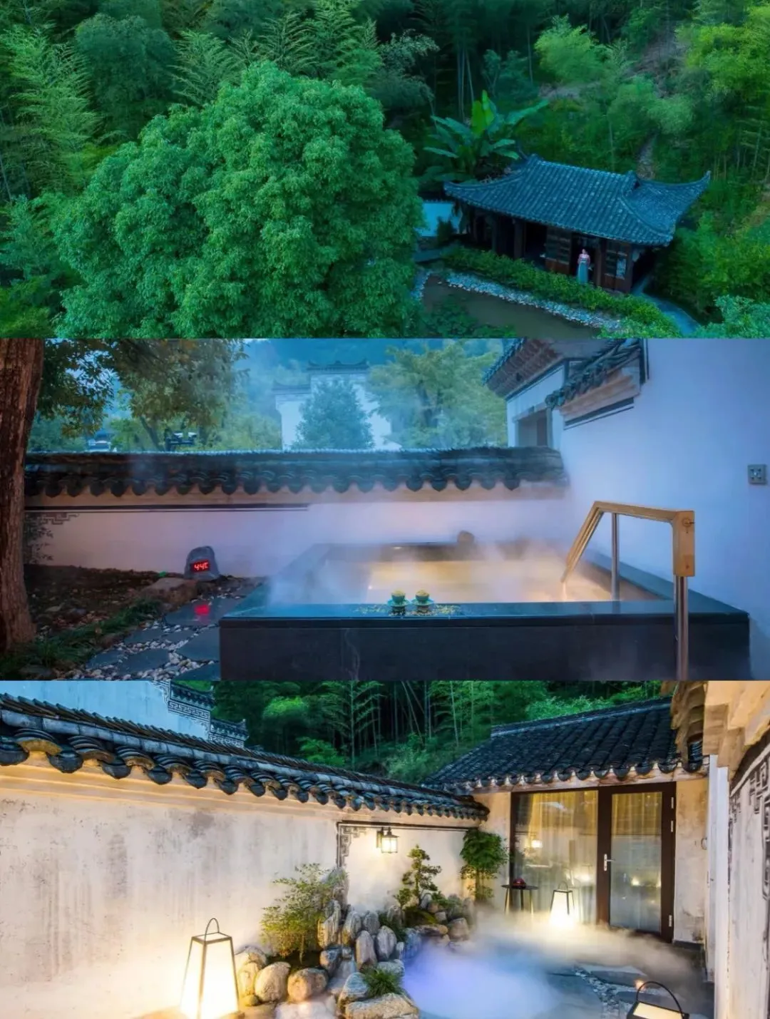小红书@麦大星