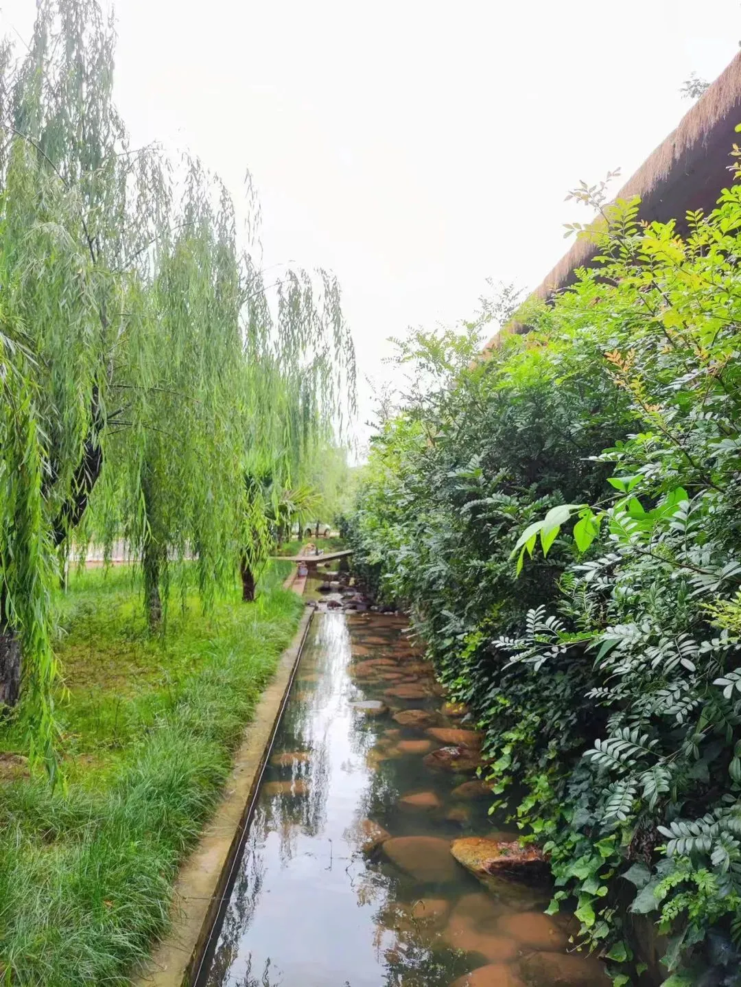 ��ͼ/�ܷ��߹�ͼ��