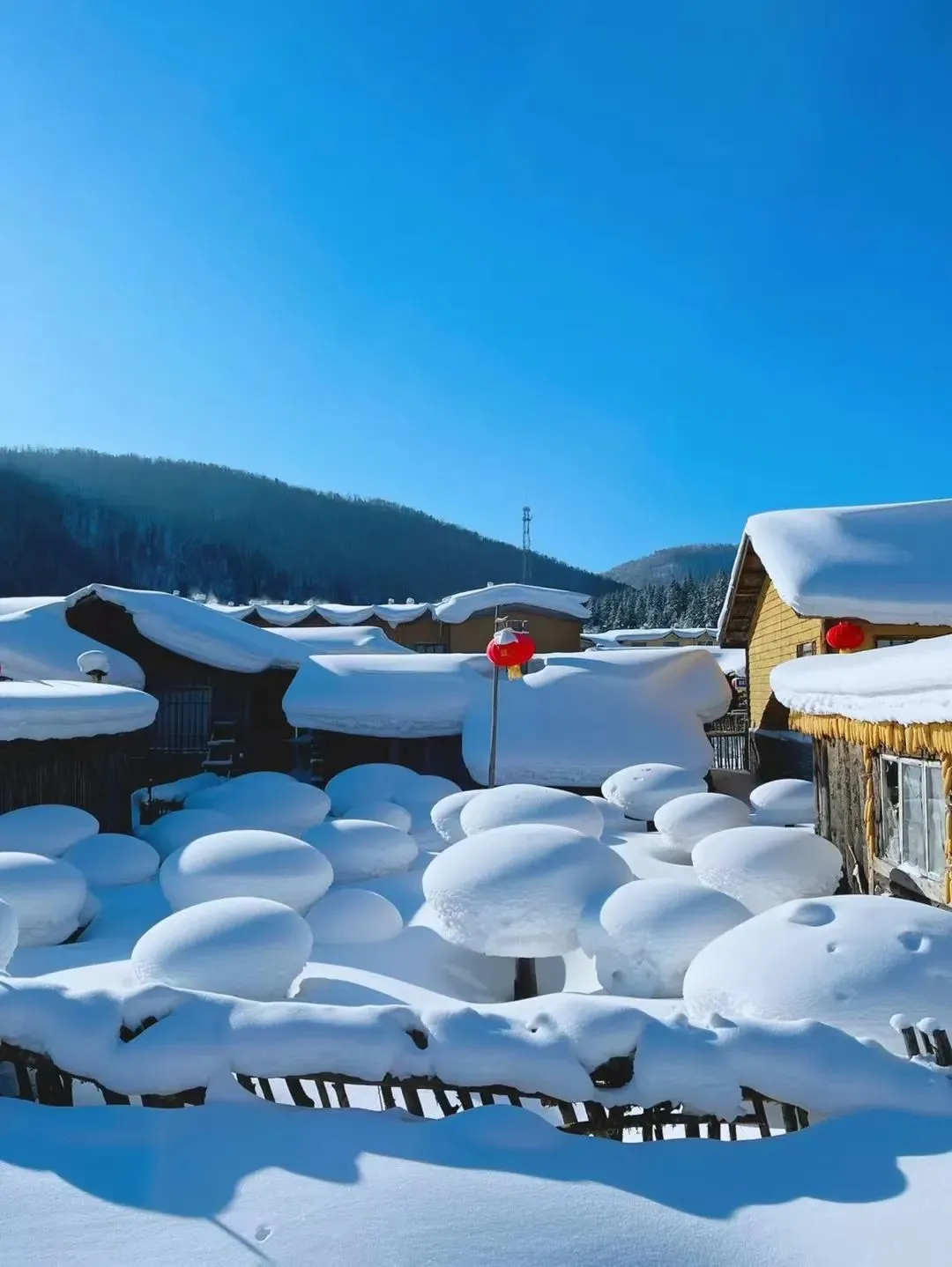图片[47]-去一次就上瘾的雪国！极光圣诞全都有！-华闻时空