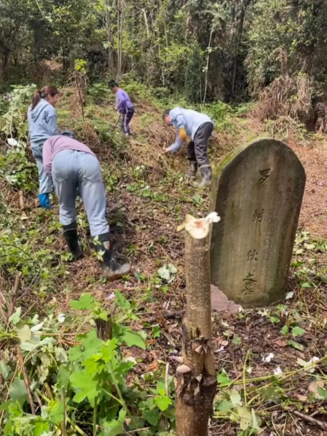 �����ͼ��