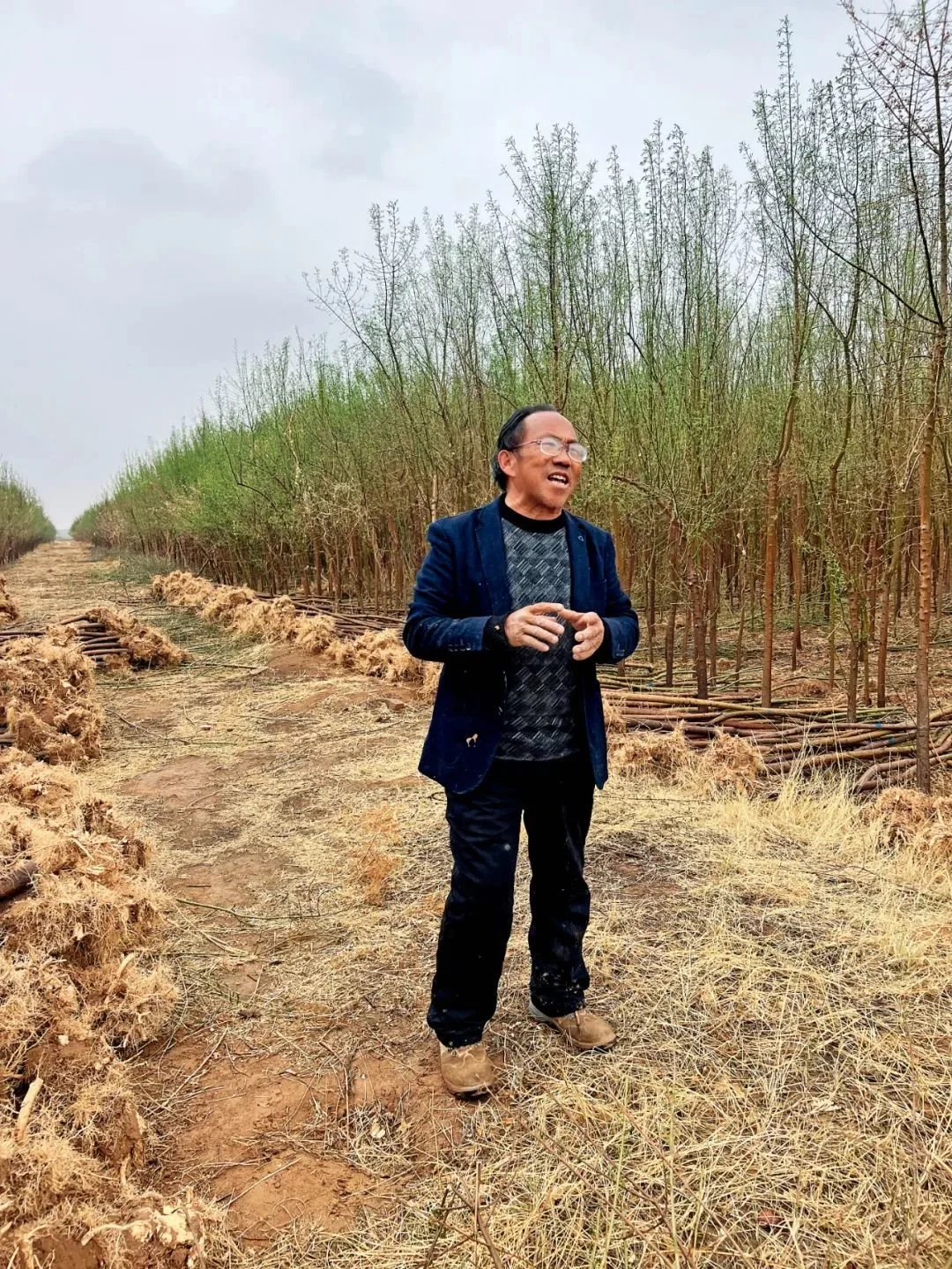 孙国友在他的“苗圃基地”。这个基地在距离马家滩林场约50公里的狼皮子梁乡。摄影/本刊记者 刘向南