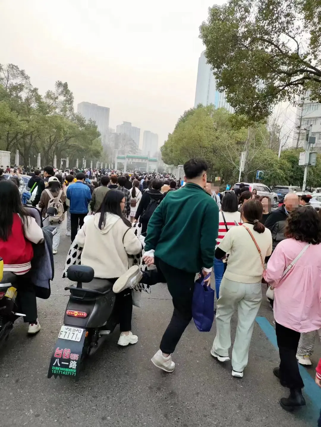 不少武汉大学学生表示，樱花季开始后，校内游客的激增严重影响了他们的出行。（图/受访者提供）