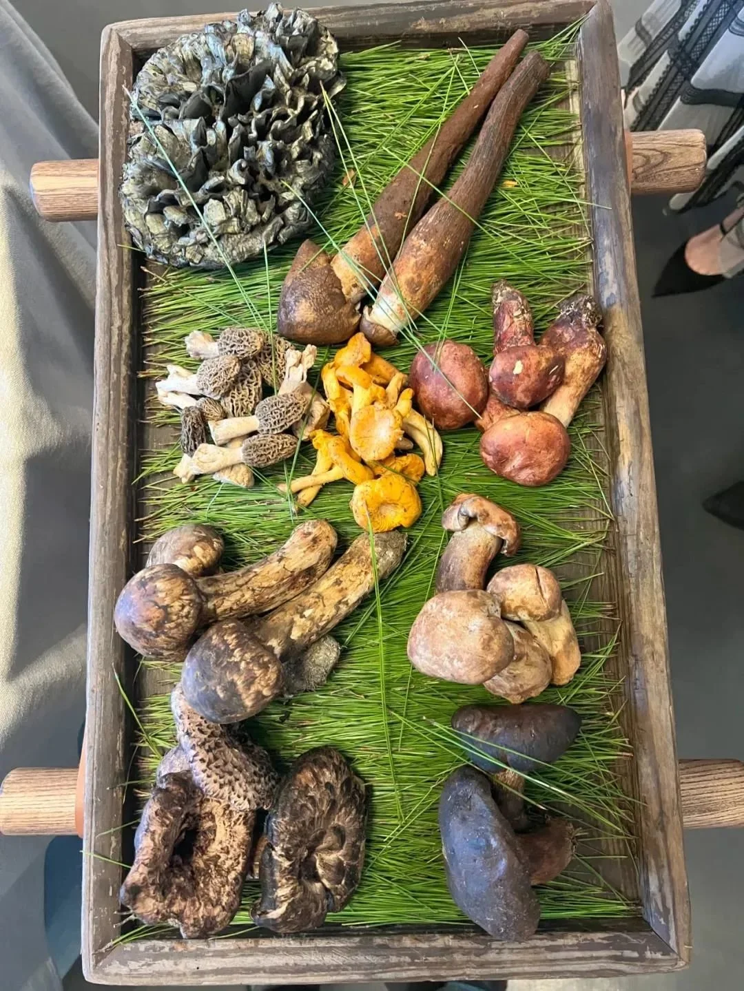 金梧桐视野丨沈宏非：2022吃过的50种美味（秋冬版）_凤凰网