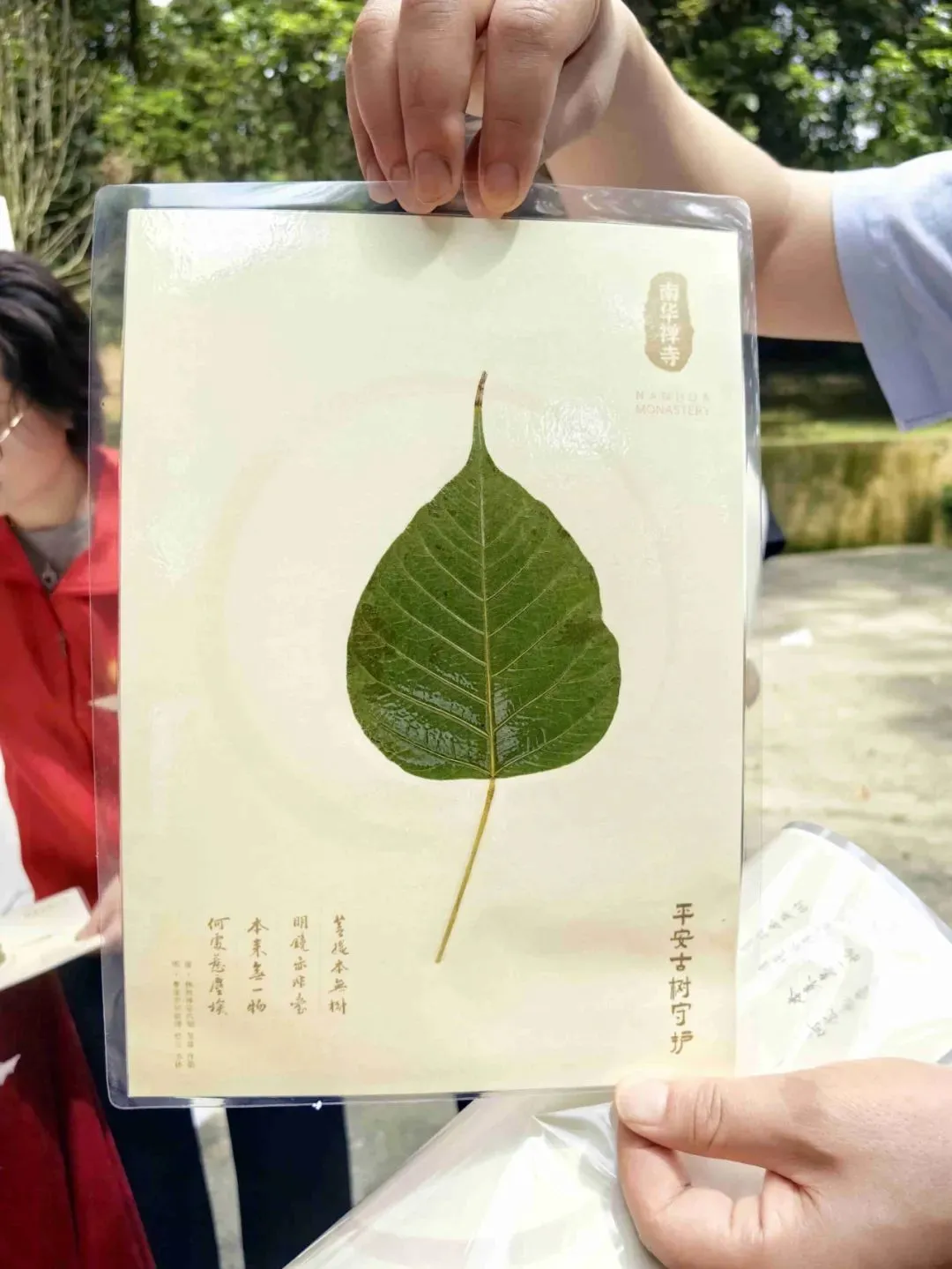 现场DIY古树叶纪念品