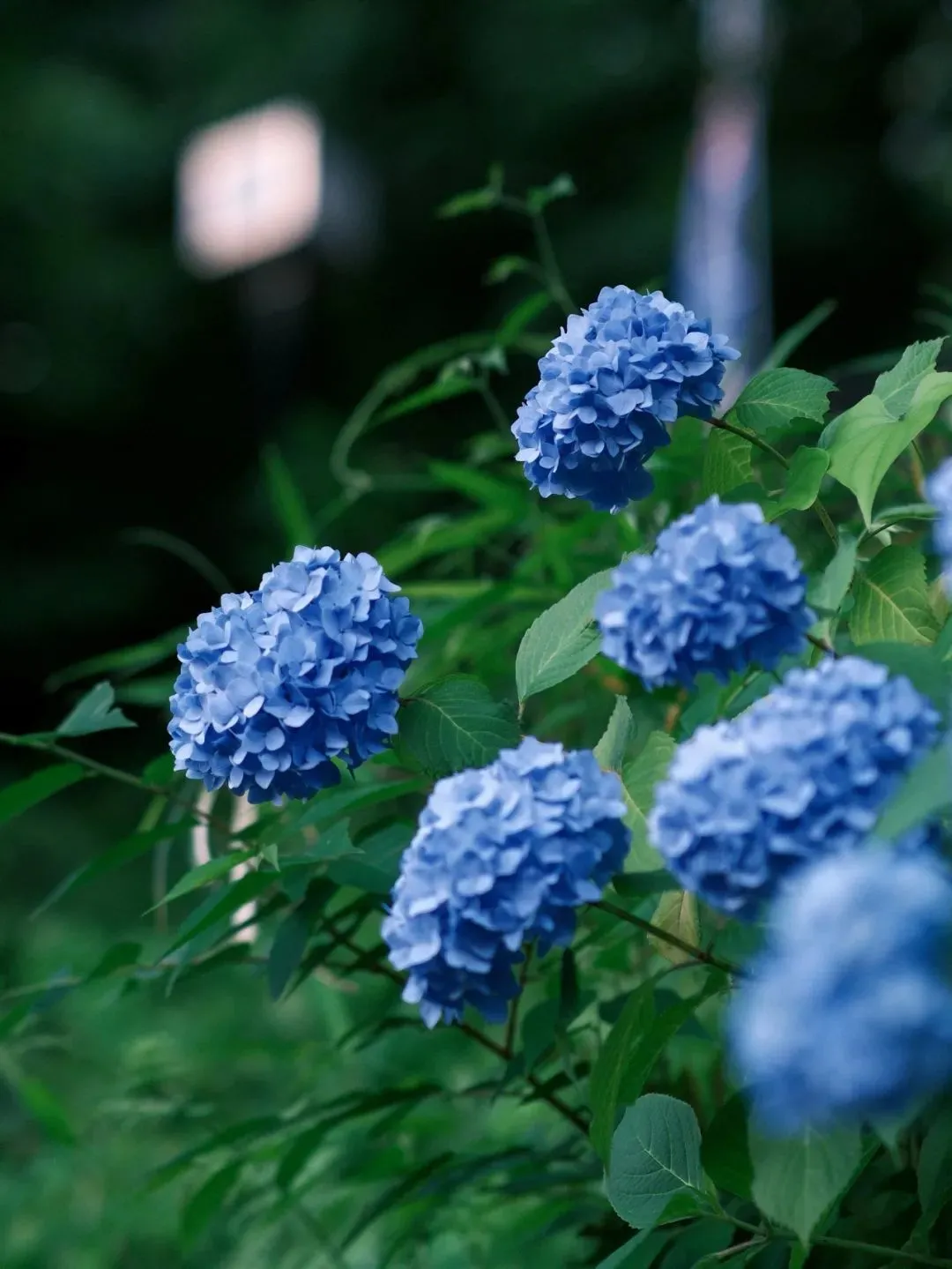 unsplash@YUNAN WANG