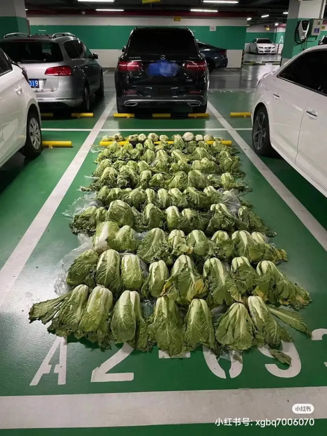 地下停车场里的大白菜丨图源：小红书@效果拔群7006070，已获授权