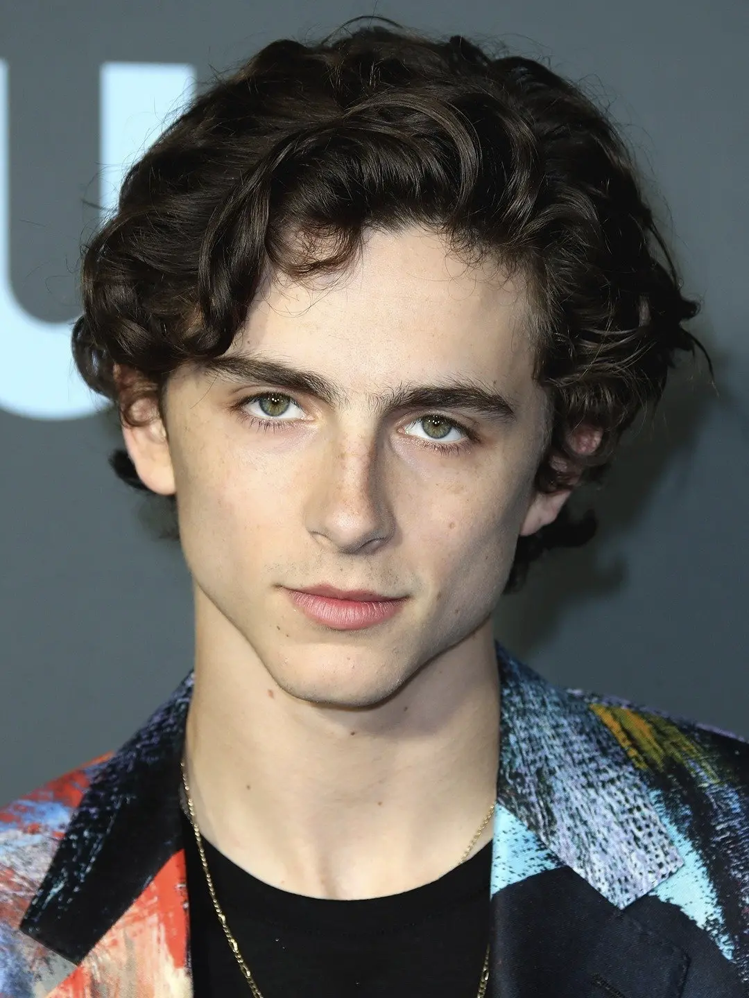 最近 Timothée 也被认为是鼠男了