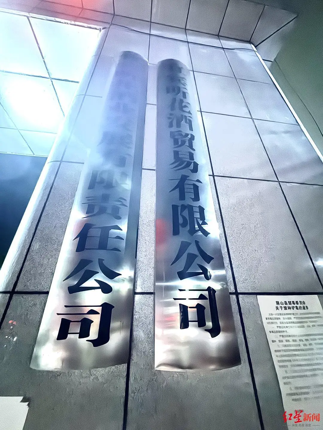 现场图 罗敏摄