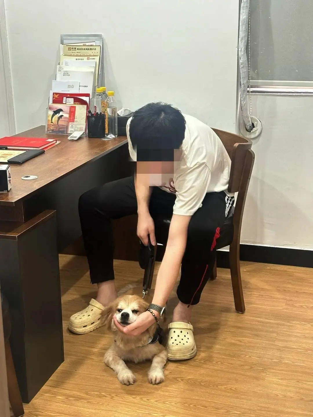陳女士的兒子和寵物