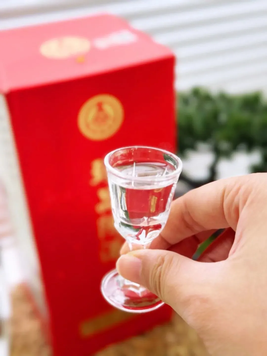 五粮液卷疯了！399元1瓶的浓香白酒，今天499元抱走6瓶！！_凤凰网