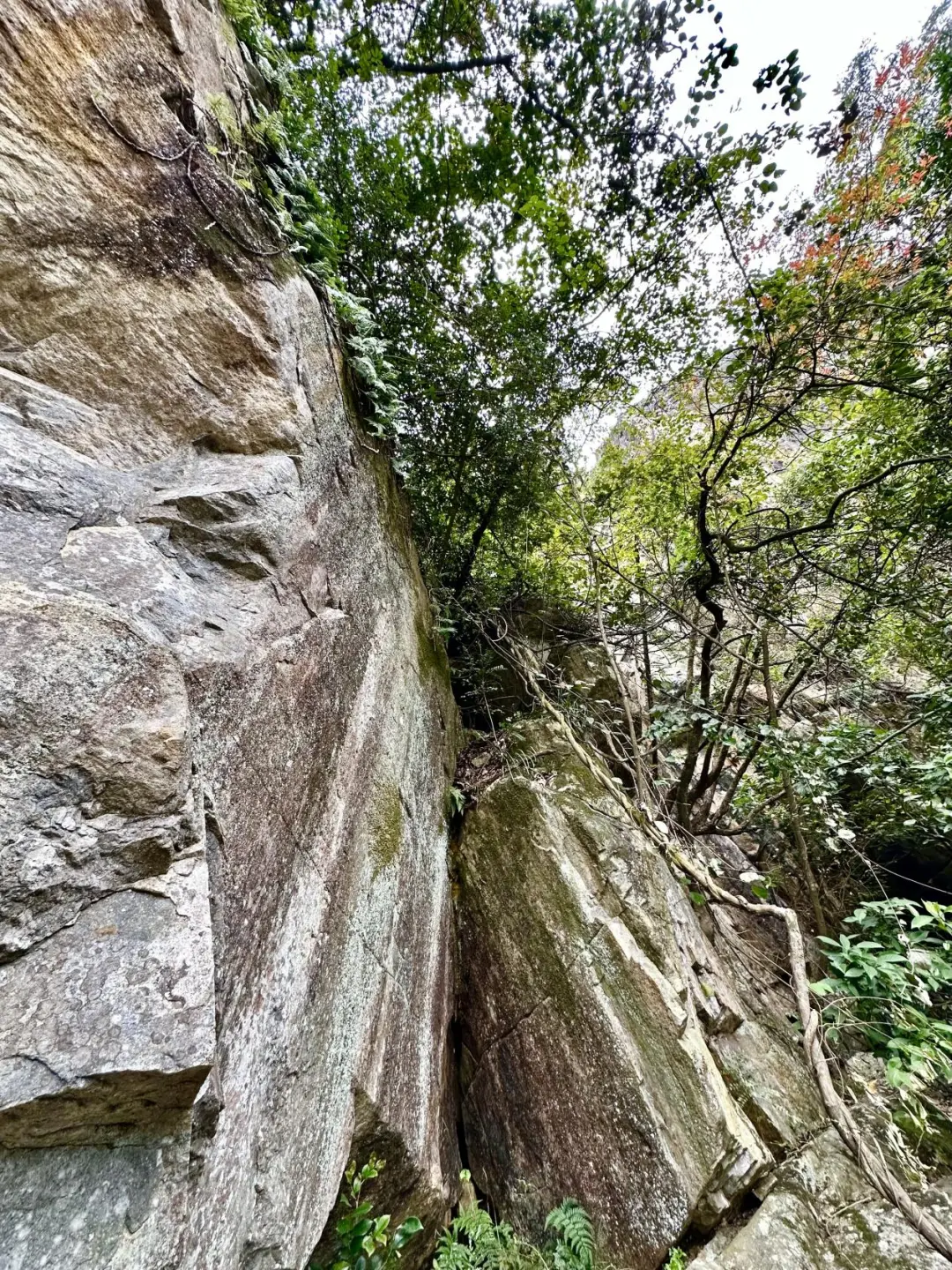 心诚石自平：石竹山狮子岩田野调查小记