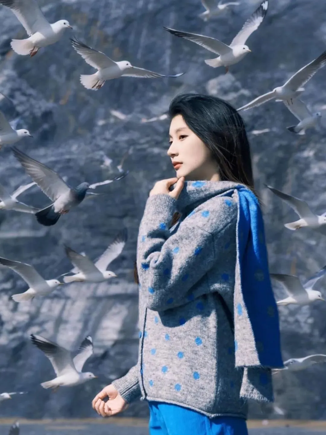 ����ɽ������ | ���������� �����꡹�������������´���ʽ��