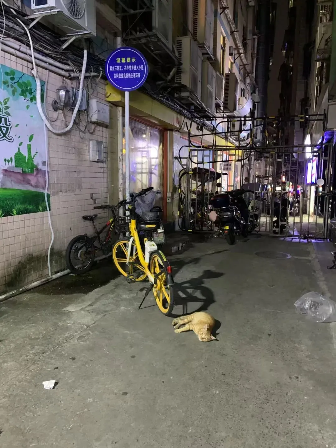 宋辰從小居住的城中村的入口