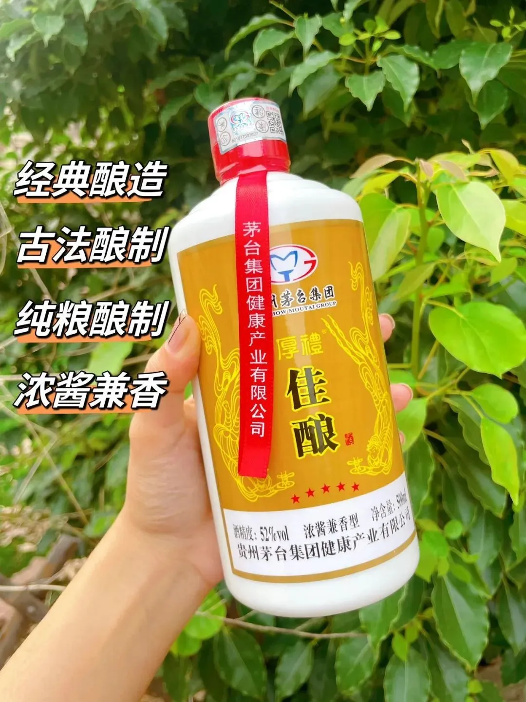 2023年制貴州茅台鎮 マオタイ鎮 国順品鑒酒 VIP 醤香型白酒 500ml 53