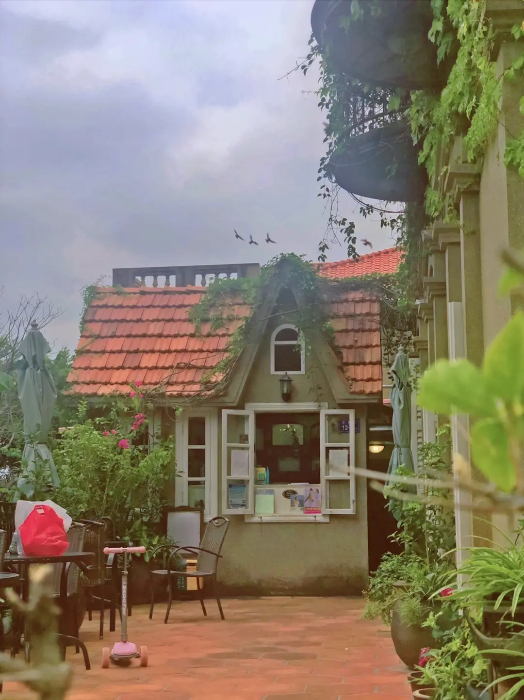 房会塌，树会倒。我没有办法。｜星期天文学·龚万莹