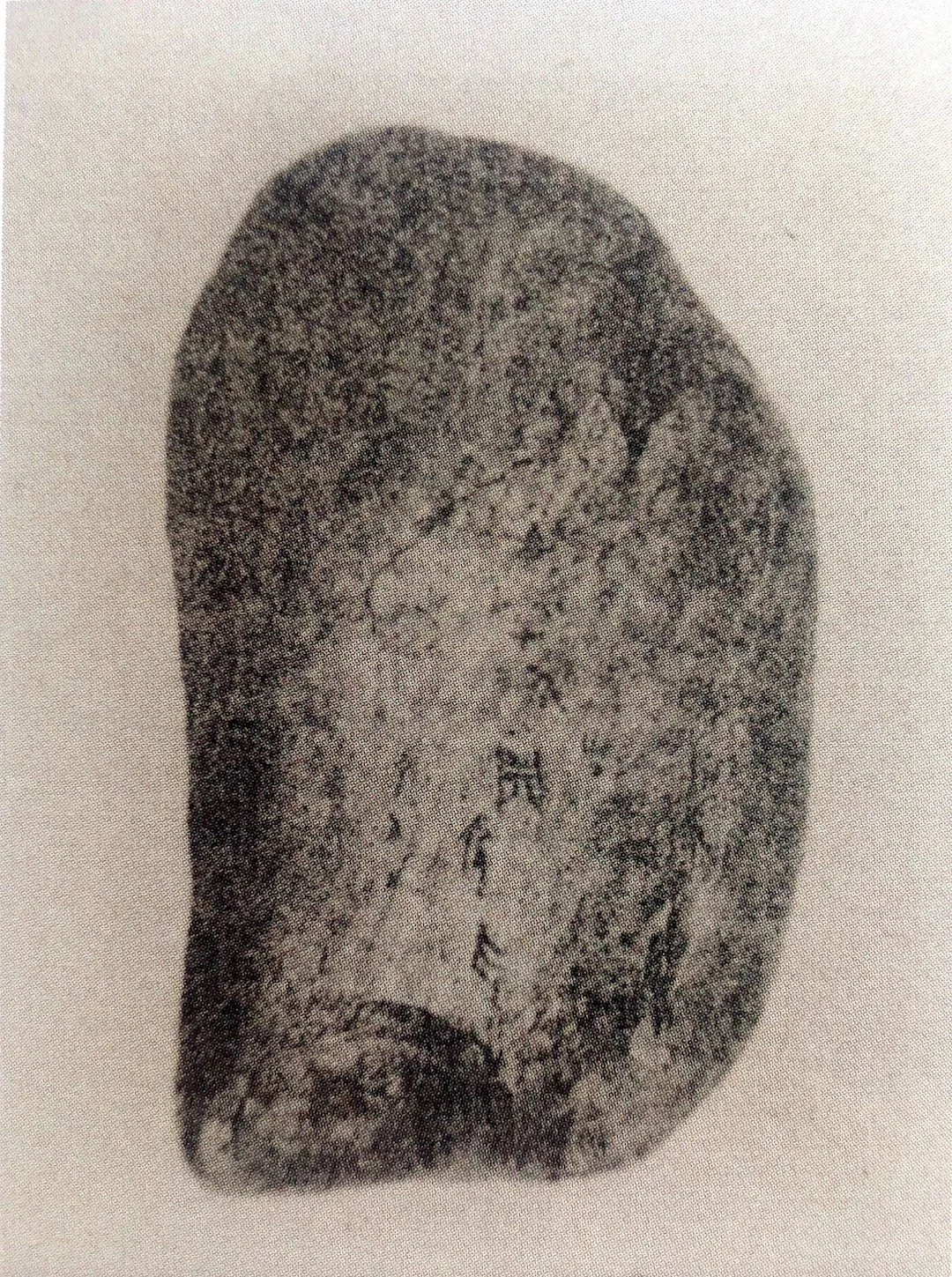 图12 郑州二里岗时期土层内采集的刻辞牛肋骨