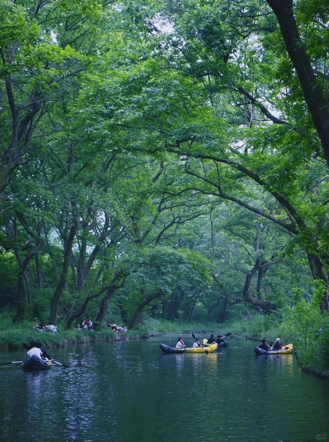 不是杭州!这座“山水茶都”是中国唯一“永久宜居城市”