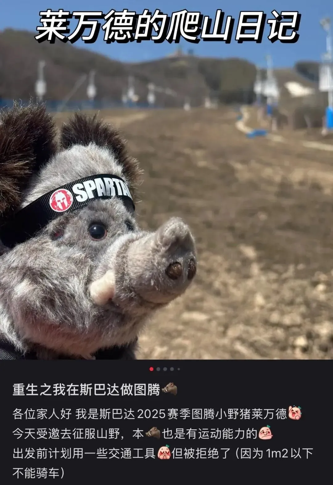 〓 图源:小红书用户@FANGzy