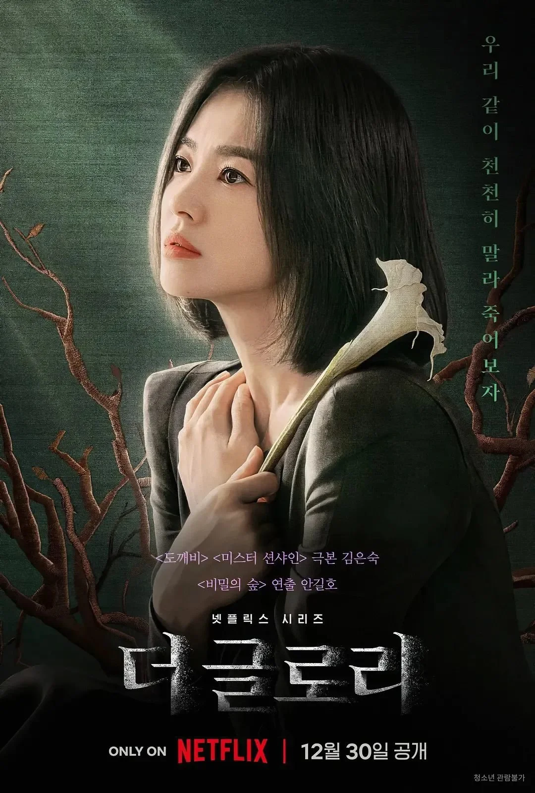 韩剧《黑暗荣耀》海报。图源：豆瓣