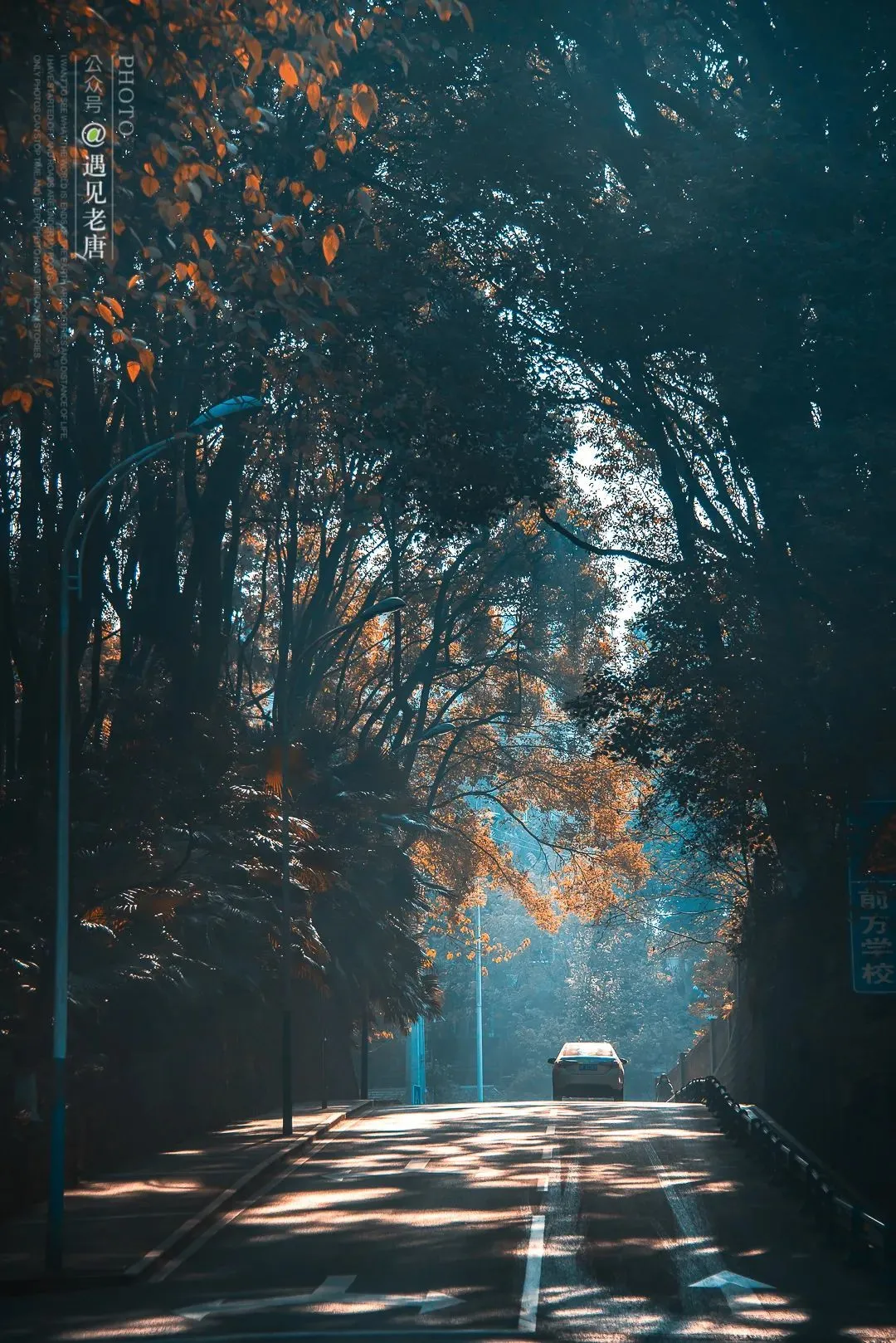 △忠山路，一辆慢慢消失的车。 图by 老唐